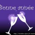 Bonne Ann�e 2010
