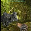 Premier livre de Mael � d�couvrir : LES ANIMAUX L�GENDAIRES